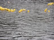 .. and later finishers